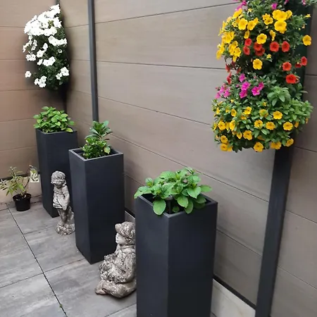 Apartment Nergens