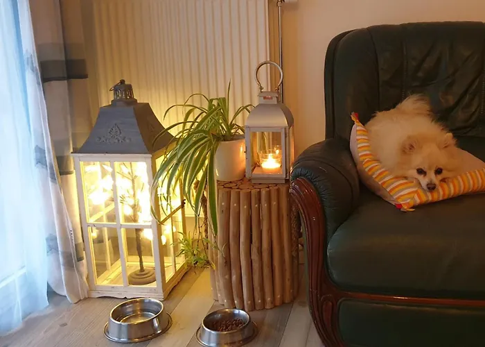 Lägenhet Nergens Rotterdam