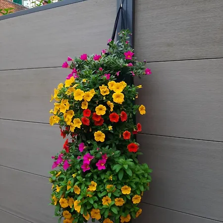 Apartmán Nergens Rotterdam