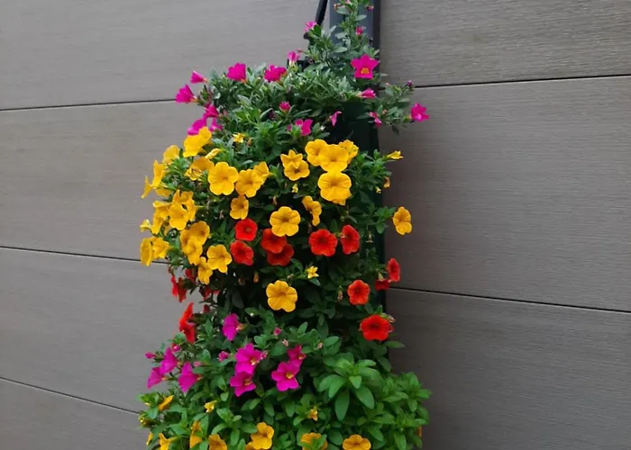 公寓 Nergens 鹿特丹