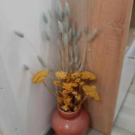 Nergens 로테르담