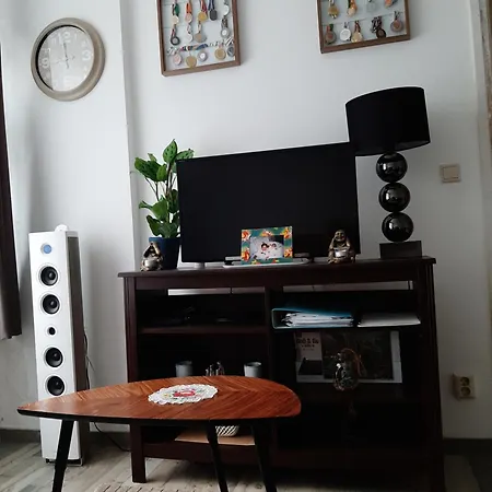 Nergens * 로테르담